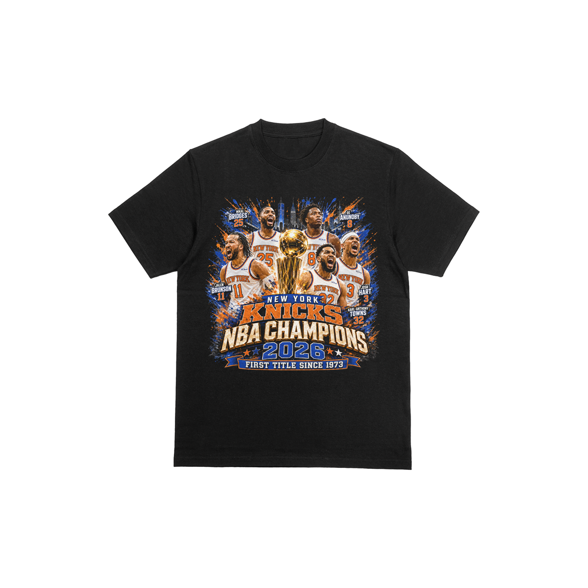 2026 NY Knicks Championship Team